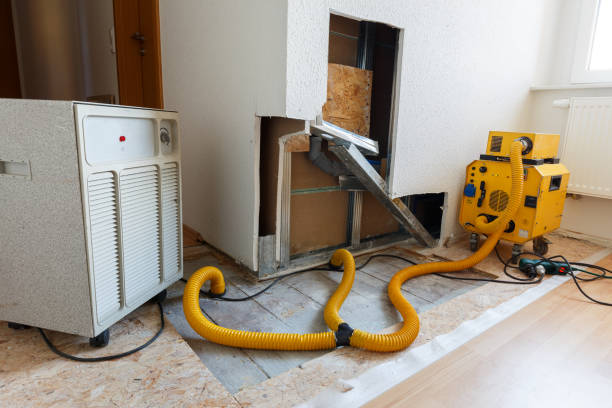 Environmental Consulting for Mold Prevention in Fort Pierce North, FL